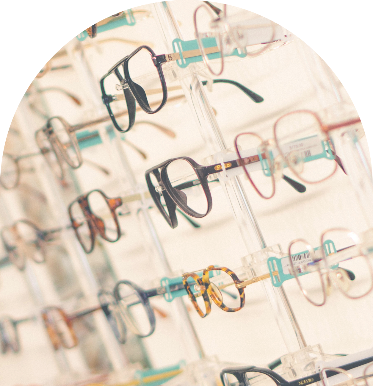 A wall display of funky, vintage eyeglasses of all different colors. 